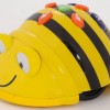 Year R and 1 bee