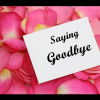 Year 6 Last Week and Goodbyes! Goodbye