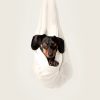 Blessing for Pets – Sun 7th Oct erda-estremera-582075-unsplash