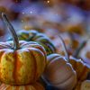 Harvest Mass – Friday 26th October alfred-schrock-780654-unsplash